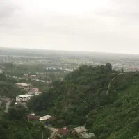 اجاره-باغ-چای