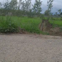 ۲۵۰ متر زمین باغی داخل طرح هادی، بر آسفالت|فروش زمین و ملک کلنگی|صومعه‌سرا, |دیوار