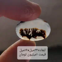 کلکسیون عتیقه سنگ شجر معاوضه با انگشتر شجر زبرجد|کلکسیون اشیاء عتیقه|زنجان, |دیوار