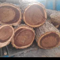 خریدار چوب درخت،تیر سقفی،پالت،ریشه،فروش زغال کبابی|خدمات باغبانی و درختکاری|هشتگرد, هشتگرد قدیم|دیوار