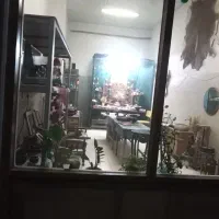 کابینت، کمد دیواری ظروف چوبی و تعمیرات|کتابخانه، شلف، قفسههای دیواری|گرگان, |دیوار