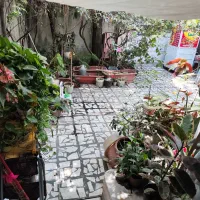 خانه ویلایی در خیابان ارشاد