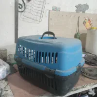 جای گربه