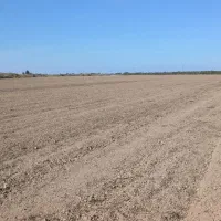 هشت هکتار زمین مزروعی به اجاره داده می شود|اجارهٔ دفتر صنعتی، کشاورزی، تجاری|پارس‌آباد, |دیوار