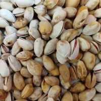 پسته تازه امساله پوست کنده و خشک