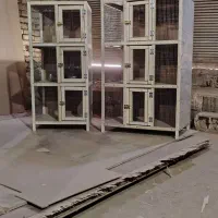 جفتی