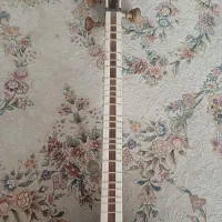 ساز تار|سازهای سنتی|همدان, |دیوار