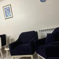 مینا کاری نو جهت عکس استفاده شده