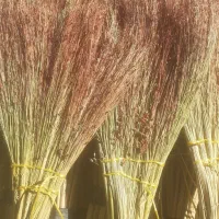 جارو اماده رسیده|لوازم نظافت|رومشکان, |دیوار