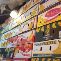 کارتون موزی