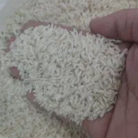برنج علی کاظمی چغلوندی