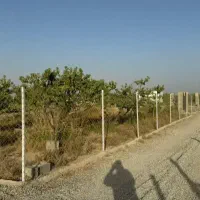 ۲۸۰ متر زمین سندمادر سرمایه گذاری سهیلیه/دولت اباد|فروش زمین و ملک کلنگی|کرج, چهارصد دستگاه|دیوار