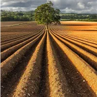 زمین-فروشی-100-متری