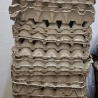 صفحه تخم مرغ