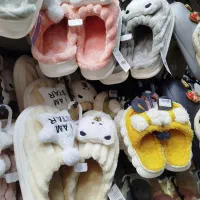 انواع دمپایی پولیشی ، ابری|کیف، کفش، کمربند|صدرا-فارس, فاز ۱|دیوار