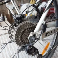 دوچرخه جاینت تالون ۲۹|دوچرخه، اسکیت، اسکوتر|بوکان, |دیوار