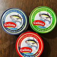 تن ماهی چابهار ۱۸۰ گرم (درجه یک صادراتی) ماهی هوور