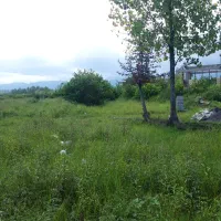 ۲۵۰۰ متر زمین روستایی‌پره‌سر/ متراژ دلخواه/توافقی|فروش زمین و ملک کلنگی|پره‌سر, |دیوار