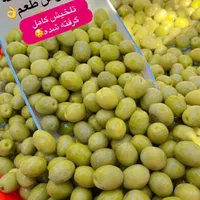 زیتون و روغن عمده طارم فرابکر