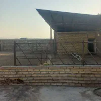 اجاره دامداری مناسب برای کارگاه|اجارهٔ دفتر صنعتی، کشاورزی، تجاری|قنوات, |دیوار