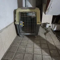 باکس سگ