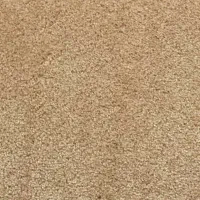 موکت کرم نو ۸ ماه کار