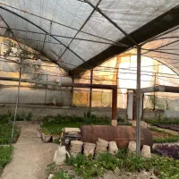 گلخانه|اجارهٔ دفتر صنعتی، کشاورزی، تجاری|تهران, سازمان آب|دیوار