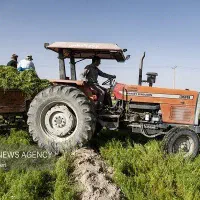 نیازمند تراکتور بدون بیل ، گریدر ، غلطک