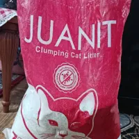 خاک گربه