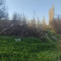 قطعه-زمین-باغچه-سیب-قرمز-نیم-طناب-محلی