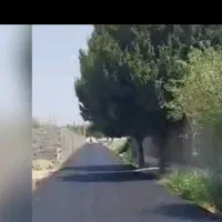 باغچه-چهاردیواری