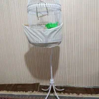 قفس وسایل معاوظه کفتر.