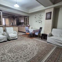 آپارتمان تک واحدی جنوبی زیر قیمت منطقه|فروش آپارتمان|تهران, اسفندیاری|دیوار