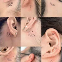 تتوبدن ، میکرو و فیبروز و..