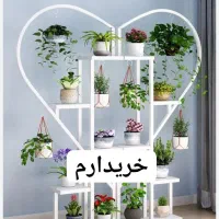 استند گل.فلزی.درطراح ها دیگه|گل و گیاه طبیعی|مرند, |دیوار