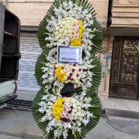 گل ختمی|گل و گیاه طبیعی|تهران, شهرک محلاتی|دیوار