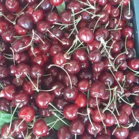 گیلاس ارگانیک برای مصرف خانگی خوراکی کمپوت و مربا