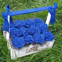 گل روبانی|گل مصنوعی|ساری, |دیوار