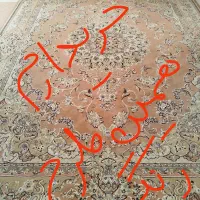 فرش رنگ گلبهی