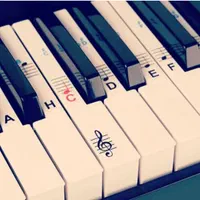 گروه ارکستر ودی جی سویل موزیک|خدمات پذیرایی، مراسم|میانه, |دیوار