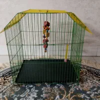 قفس پرنده نو|لوازم جانبی حیوانات|پاکدشت, پاکدشت (مامازند)|دیوار