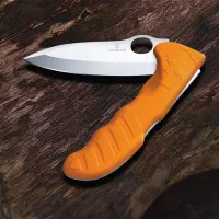 تیزکاری چاقو و کارد و اره|کوهنوردی و کمپینگ|نیشابور, پاستور|دیوار