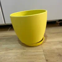 دو عدد گلدان|گل و گیاه طبیعی|بجنورد, |دیوار