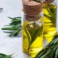 روغن زیتون بکر و فرابکر شمال|خوردنی و آشامیدنی|شیراز, تاچارا|دیوار