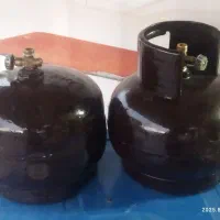 پیک نیک