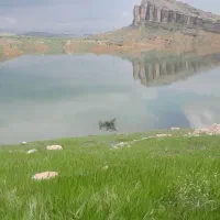 زمین فروشی فوری