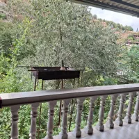 سوئیت تراس دار،رو به جنگل تام تام|اجارهٔ کوتاه‌مدت آپارتمان و سوئیت|بهشهر, |دیوار