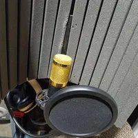 میکروفون حرفه ای