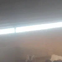 سلام ۸رس بز موجود|حیوانات مزرعه|رومشکان, |دیوار