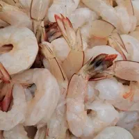 میگو دریایی